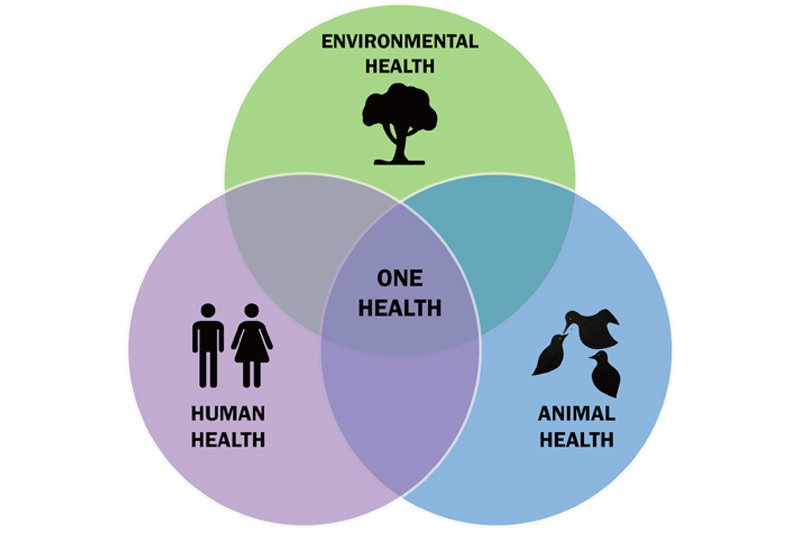 One health diagram